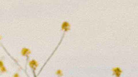 Kendall tuvo un pequeño altercado con Bella Hadid.