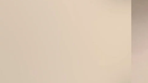 Rodney Smith fue condecorado por la Reina Isabel por su servicio a la comunidad en Alabama.