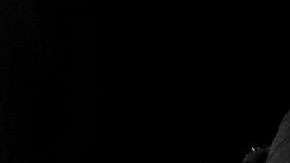 Selena Gomez ha tenido un 2017 muy particular.