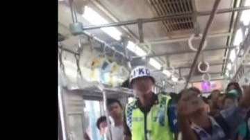 El sujeto agarra por la cola al animal.