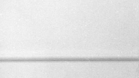 Sharon Tate, difunta actriz estadounidense.