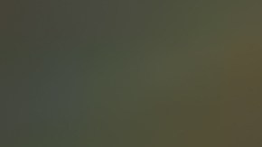 Social Media Manager