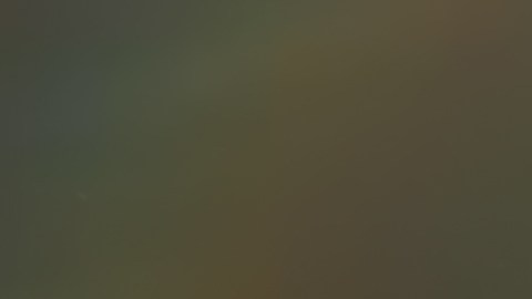 Social Media Manager