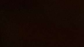 El vino es la bebida favorita para celebrar Thanksgiving.