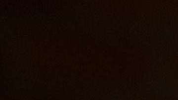 El vino es la bebida favorita para celebrar Thanksgiving.