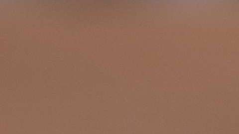 No creas todo lo que dicen respecto a inscribirse a un seguro médico.