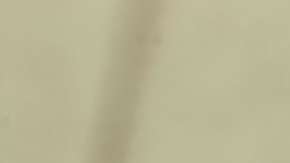 Noodle Soup (Sopa de Fideos)