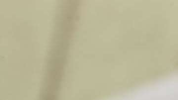 Noodle Soup (Sopa de Fideos)