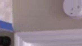 Ryan Boylan de Clearwater Beach, Florida y su mascota de soporte emocional, una ardilla llamada Brutis.