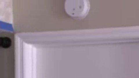 Ryan Boylan de Clearwater Beach, Florida y su mascota de soporte emocional, una ardilla llamada Brutis.