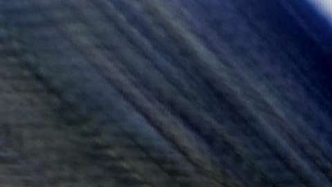 Tajín corrido (Juan Carlos Gutiérrez Barraza)