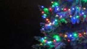 Los tarahumaras pusieron en alto el nombre de México. Foto Especial