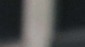 En riesgo el futuro de los inmigrantes protegidos por el TPS (Mariela Lombard/EDNY)