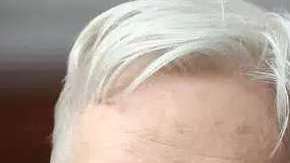 Donald Trump Jr. mantuvo comunicación con una cuenta oficial de Wikileaks, de Julian Assange.