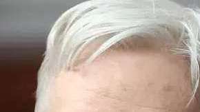 Donald Trump Jr. mantuvo comunicación con una cuenta oficial de Wikileaks, de Julian Assange.