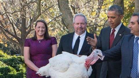 El presidente Obama "perdona" el Día de Acción de Gracias nacional en el Rose Garden en la Casa Blanca en Washington, D.C., el 25 de noviembre de 2015.