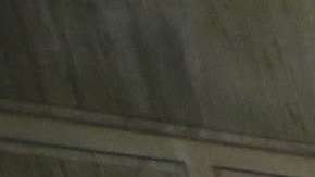 Aurelia Ventura/ La Opinión