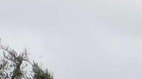 El Día de los Muertos, que se festeja el 1 y 2 de noviembre, es una de las tradiciones mexicanas más significativas, donde los paisanos honran la memoria de los familiares o amigos fallecidos.