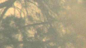 El devastador incendio Creek en San Fernando. Aurelia Ventura/ La Opinion