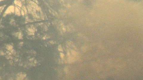 El devastador incendio Creek en San Fernando. Aurelia Ventura/ La Opinion