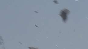 El incendio Creek en el Valle de San Fernando. Aurelia Ventura/ La Opinión