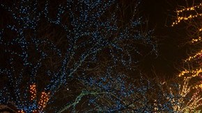 El Zoológico Lincoln se llena de luces en la temporada navideña.