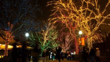 El Zoológico Lincoln se llena de luces en la temporada navideña.