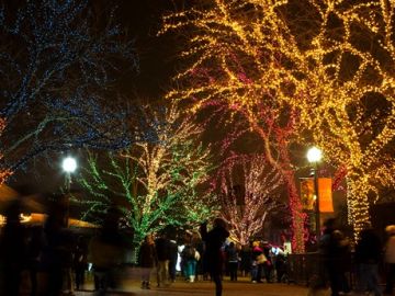 El Zoológico Lincoln se llena de luces en la temporada navideña.