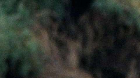 Las tumbas sin nombre de Holtville, recordatorios del peligro de la frontera