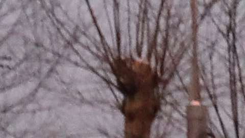 Al menos cinco muertos y 15 heridos en el arrollamiento masivo accidental de este domingo en Moscú.