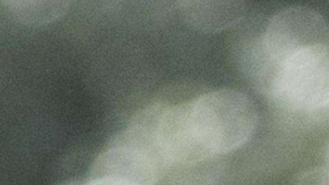 El presidente usó su cuenta personal de Twitter para enviar esta mañana varios mensajes navideños.