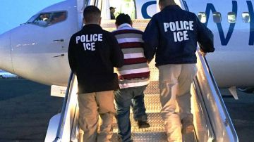Agentes de ICE-ERO se encargan de los procesos de detención y deportación.