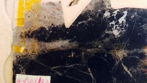 Por medio de estos fósiles se lograron descubrir indicios de vida de hace 3,500 millones de años