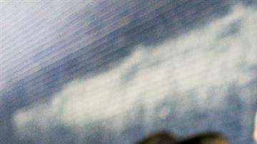 Hay algo que nos hace elegir como amigos a personas similares a nosotros.