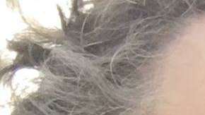 Robby Strong le dijo a AL.com que dejó la caja de estiércol de caballo en la casa de Mnuchin como una "performance política".