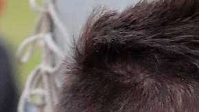 Messi se entrena con la selección de Argentina para enfrentar a Rusia