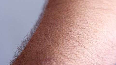 La piel de gallina nos ayudaba a mantener el calor y a aislarnos del frío.