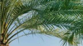 El "oasis tecnológico" de Dubái busca competir con el Valle del Silicio californiano.