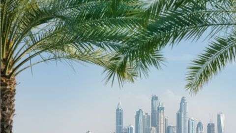 El "oasis tecnológico" de Dubái busca competir con el Valle del Silicio californiano.