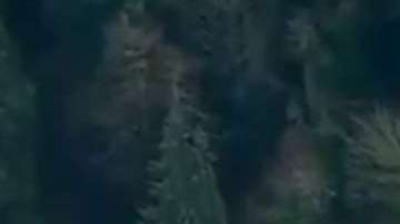 El accidente ocurrió a las 7:33 horas del lunes.