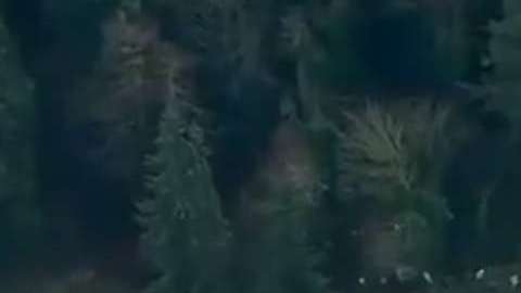 El accidente ocurrió a las 7:33 horas del lunes.