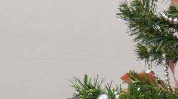 Las víctimas trabajaban en la colocación de adornos a un árbol navideño en un parque público.