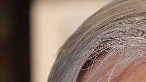 Julian Assange. Getty Images