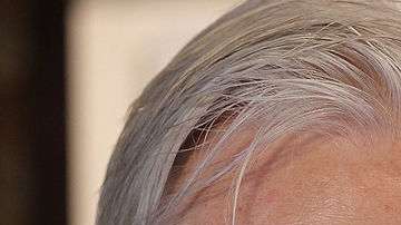 Julian Assange. Getty Images