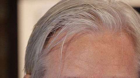 Julian Assange. Getty Images