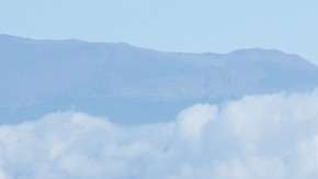 Ballenas jorobadas fueron avistadas en Acapulco.