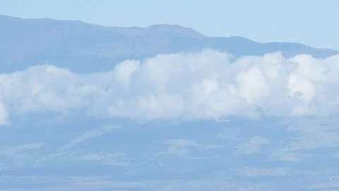 Ballenas jorobadas fueron avistadas en Acapulco.