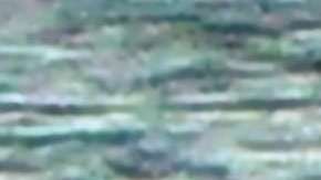 Scott Disick y Sofia Richie.