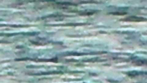 Scott Disick y Sofia Richie.