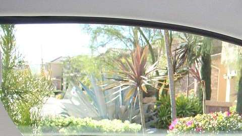 Datos básicos que necesitas tener en mente.